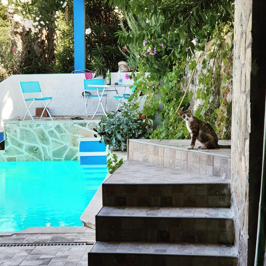 Apartment Bradex Dreams Bečići Eksteriør bilde