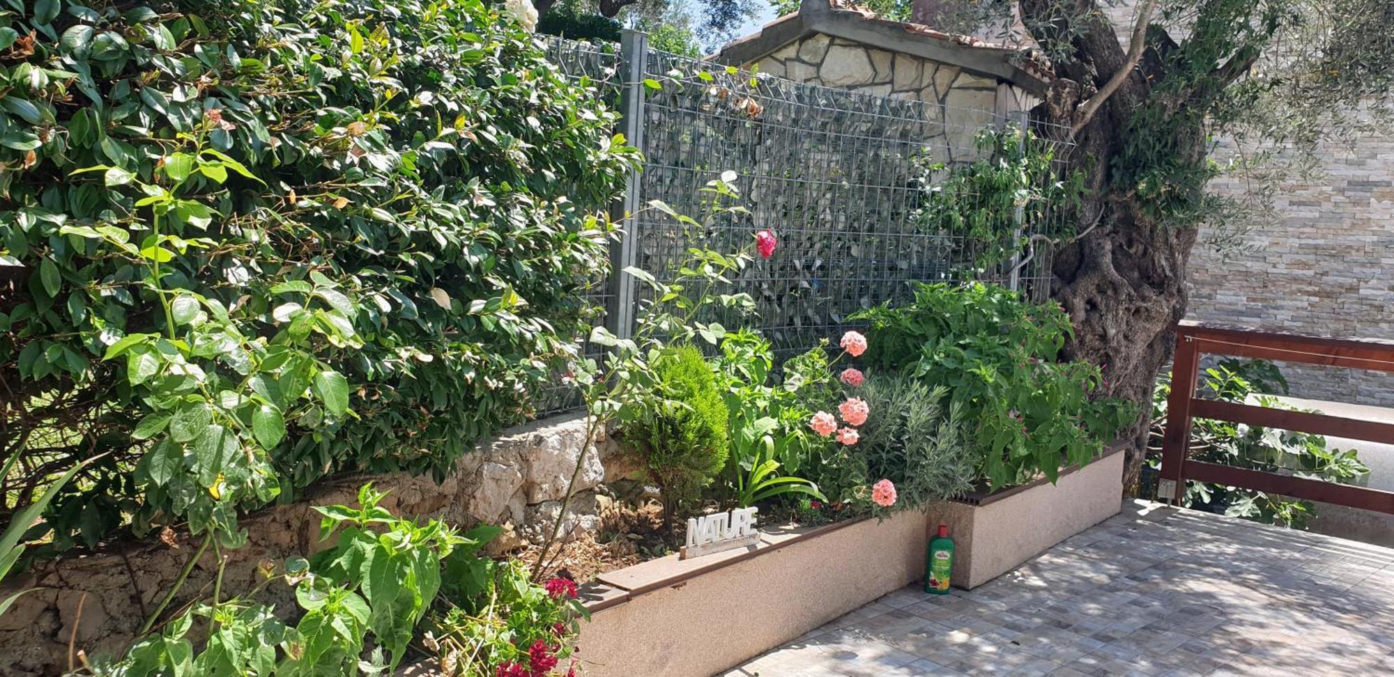 Apartment Bradex Dreams Bečići Rom bilde